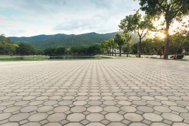 Best Local Driveway Pavers  in Dunlap, OH